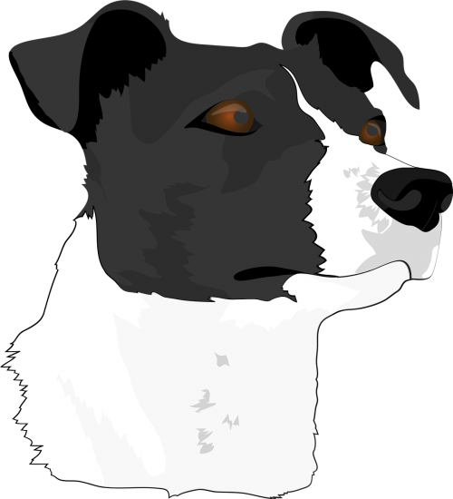 Dog Head,dog,terrier,animal - Голова Собаки Png (500x550), Png Download
