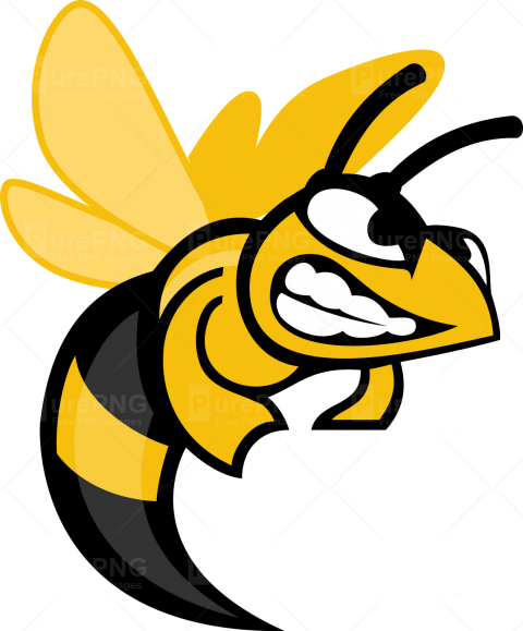 Angry Hornet Cartoon Clipart - Angry Bee Clipart Png (480x579), Png Download