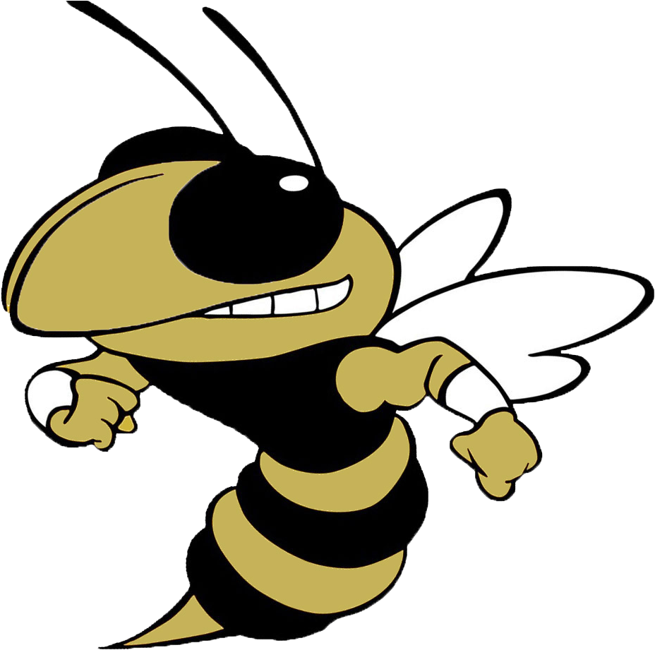 Hornet Clipart Greenville - Tl Hanna High School Logo (1054x951), Png Download