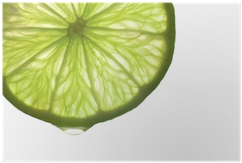 Free Lime Slice Png - Shutterstock (400x400), Png Download