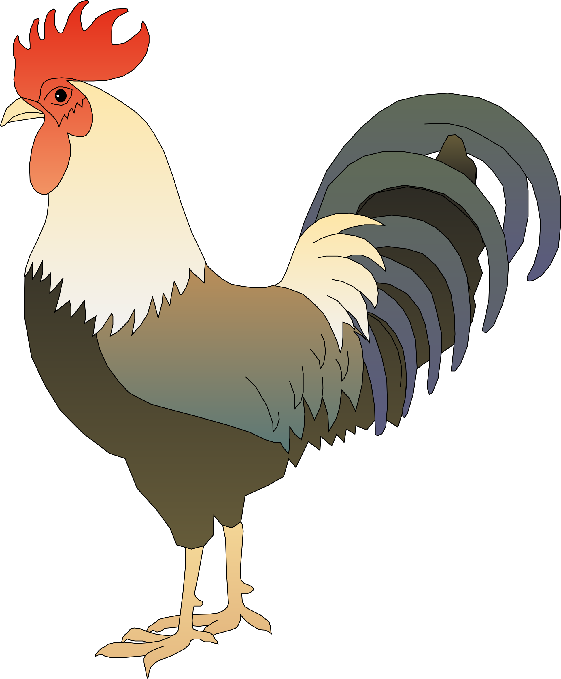 Hen Clipart Rooster - Rooster Clipart (1947x2355), Png Download