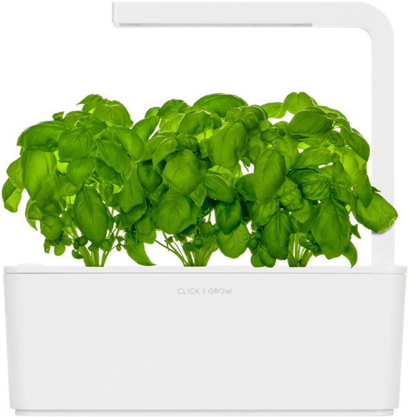 Indoor Herb Garden Tips - Smart Garden Click And Grow (768x768), Png Download
