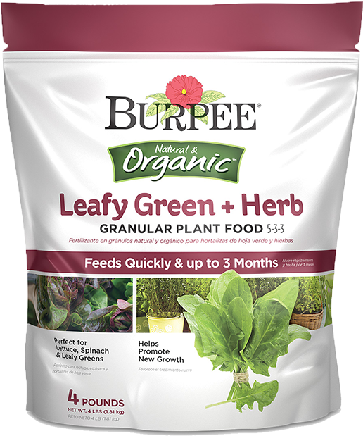 Burpee Natural & Organic Leay Green Herb Granular Plant - Burpee-echinacea, Purple Coneflower Perennial Seed (1065x641), Png Download