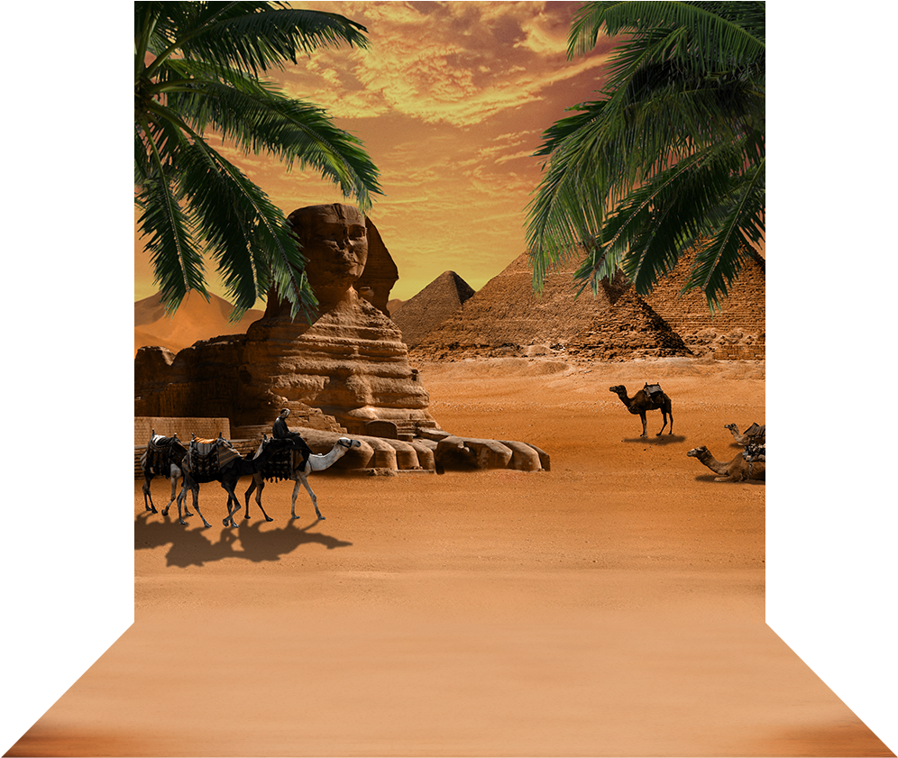 Giza Palm Fronds - Herd (1000x1000), Png Download
