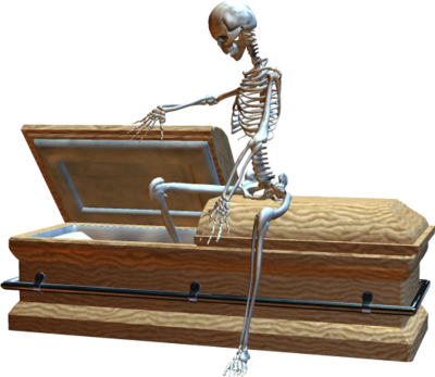 Coffin, Png, And Skeleton Image - Skeleton In Coffin Png (400x347), Png Download