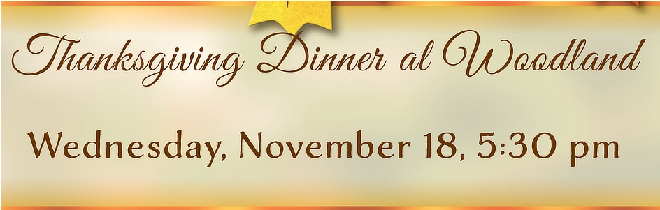 2015 Thanksgiving Dinner Banner2 - Baby Shop (1200x300), Png Download