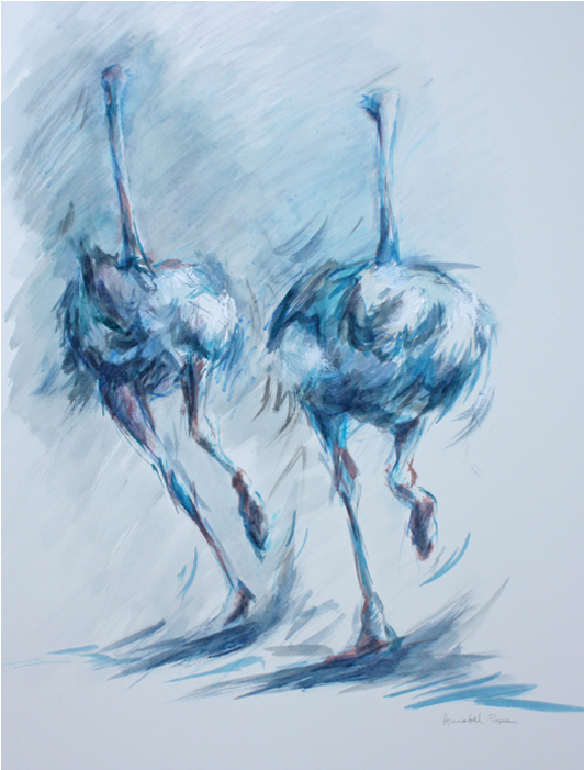 Blue Frenzy - Emu (700x700), Png Download