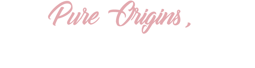 Jewellery (901x274), Png Download