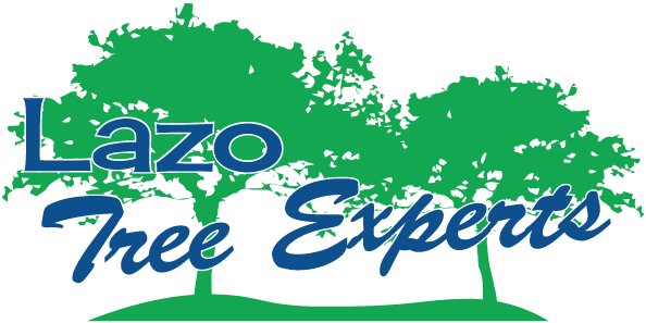 Mobile Phone (600x300), Png Download