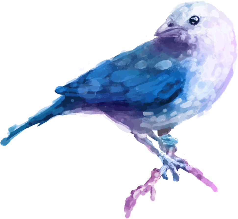 Feather 5834028 - Beautiful Watercolor Bird Ceramic Coffee Mug (1000x913), Png Download