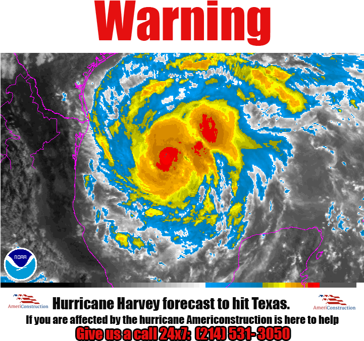 Bulma Crockett Shared - Warning (720x720), Png Download