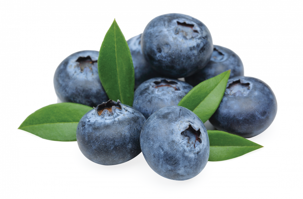 Made From High Quality Meat, Healthy Fats And Oils, - Huckleberry (1000x658), Png Download