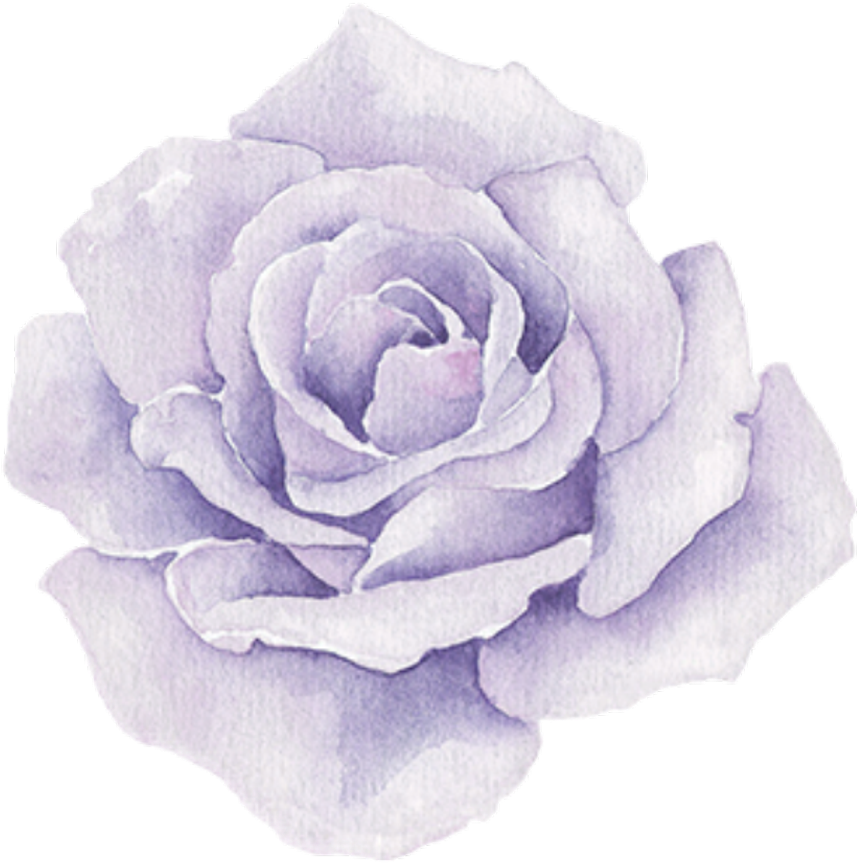 Purple Sticker - Transparent Png Watercolor Flowers (1024x1126), Png Download