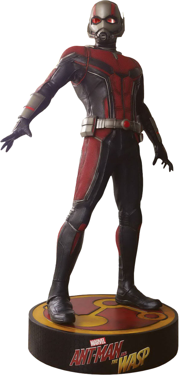 Ant Man And The Wasp - Ant-man And The Wasp (589x1236), Png Download