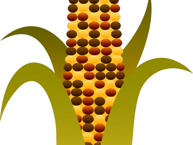 Indian Corn Clipart World Wide Clip Art Website Fall - Indian Corn Clip Art (640x480), Png Download