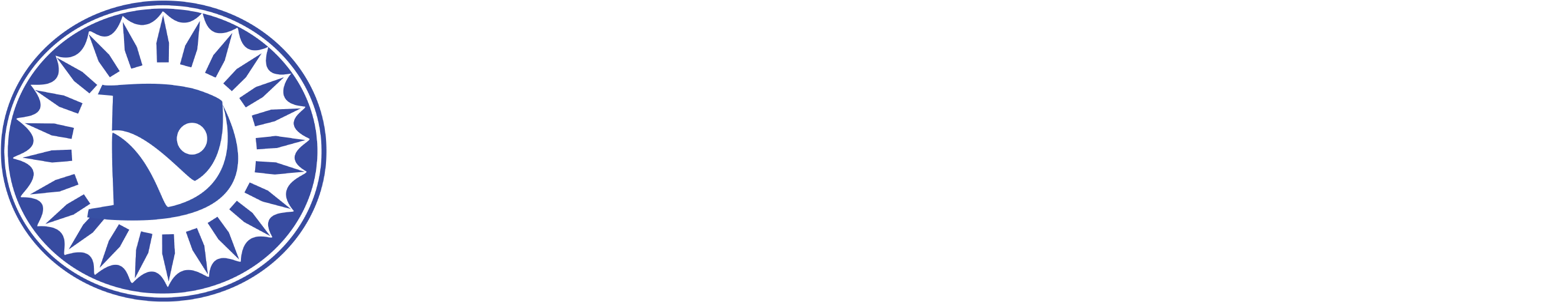 Home - Pattern (2751x758), Png Download