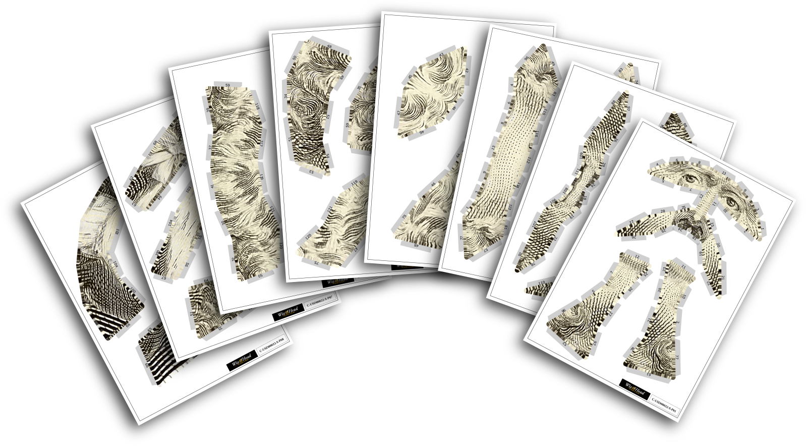 Package Front Cover Package Back Cover Us $2 Bill- - Motif (1598x884), Png Download