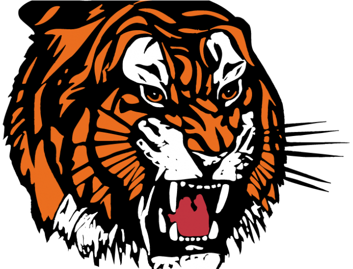 Tigers Time Out - Medicine Hat Tigers Logo (980x551), Png Download
