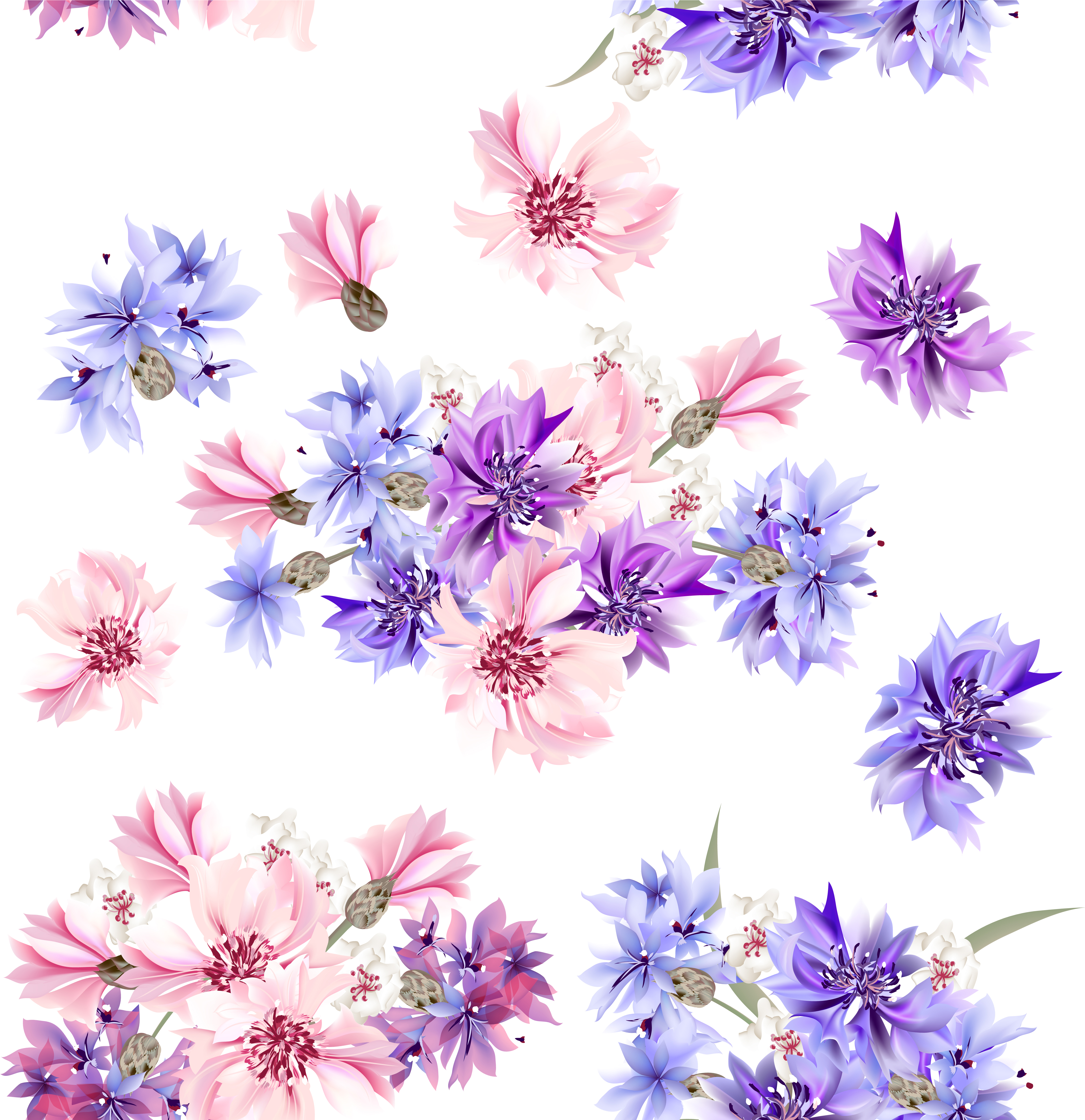 Blue Floral Background - Flowers Purple And Pink (5000x5000), Png Download
