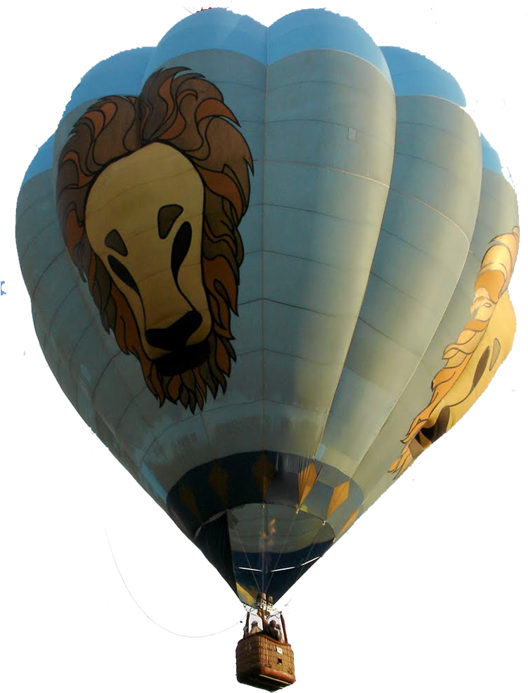 Bobs Cat 1000 - Hot Air Balloon (752x1000), Png Download