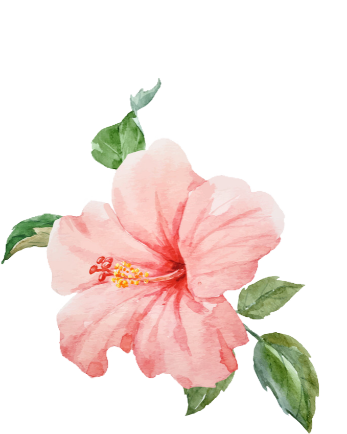 1000 X 1080 10 - Tropical Flower Transparent Background (1000x1080), Png Download