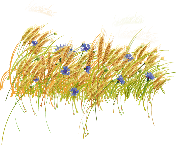 Haystack Clipart Hay Grass - Clip Art (723x587), Png Download