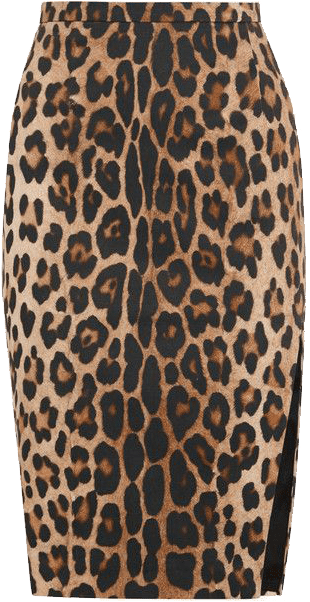 Altuzarra Faun Leopard Print Cotton Pencil Skirt - Steal Her Style De Nicki Minaj 2017 (640x640), Png Download