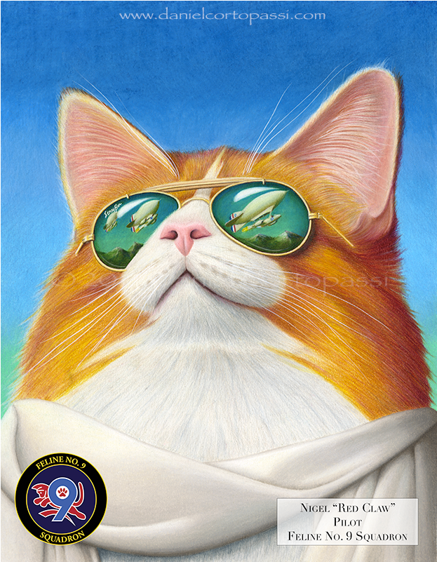 Nigel "red Claw" - Domestic Short-haired Cat (800x800), Png Download