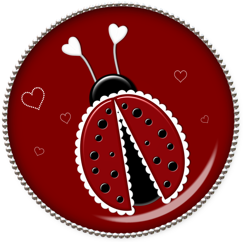 Lacarolita My Lady Bugs Button3 - Ristorante La Beccaccia Torino (800x800), Png Download