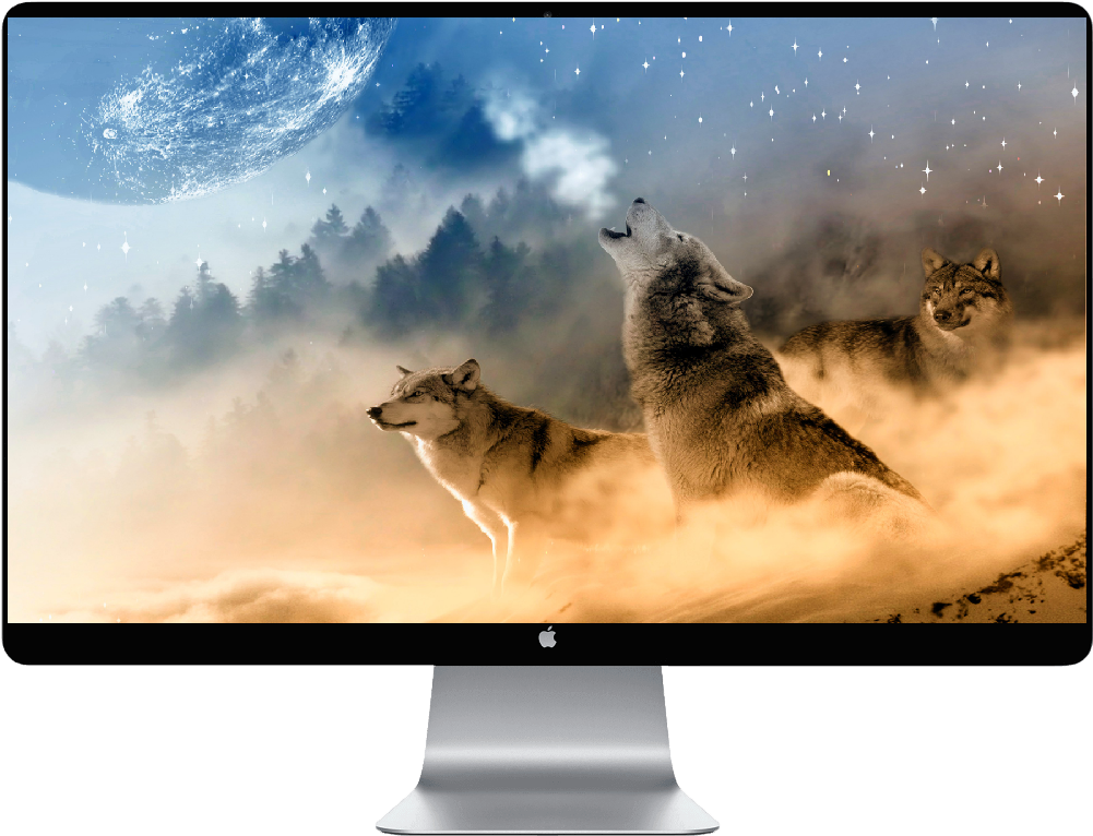 Score 50% - Wolf Howling (1000x1000), Png Download