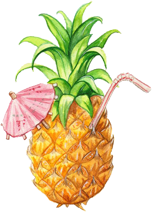 Illustration Pineapple - Pineapple Illustration (550x732), Png Download