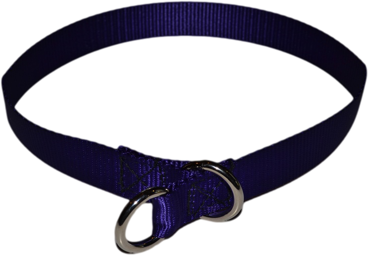 Dog Collar Clipart Transparent Transparent Background - Dog Collar Transparent Background (819x574), Png Download