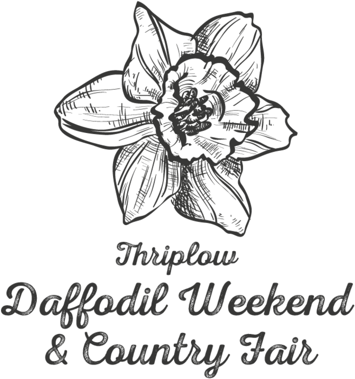 Orchids Of The Philippines (800x800), Png Download