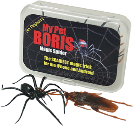 Magicspiderpro Full - Magic (700x500), Png Download