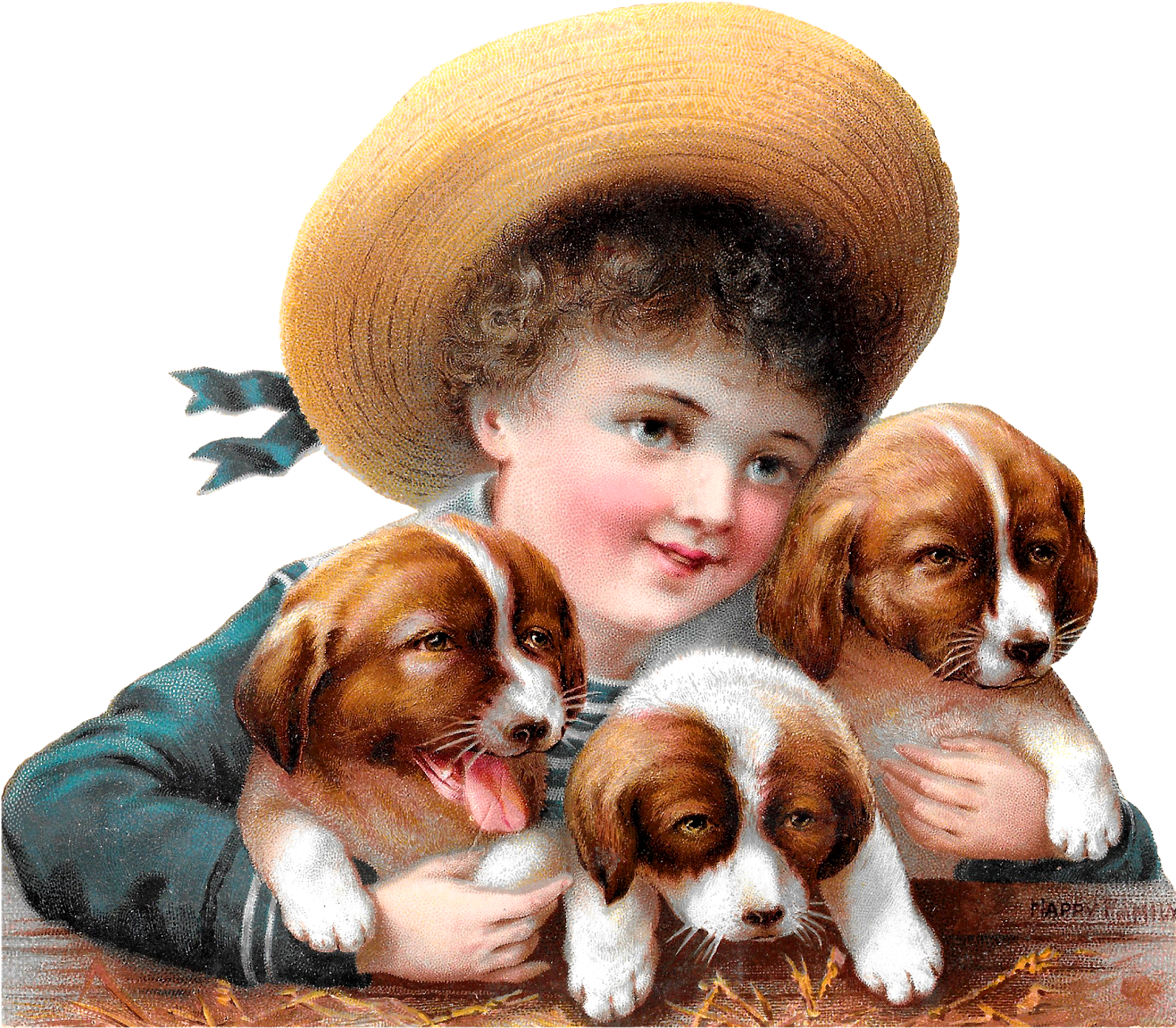 Young Boy Holding Puppies Image Download - Victorian Edwardian Postcards Dogs And Cats (1600x1392), Png Download