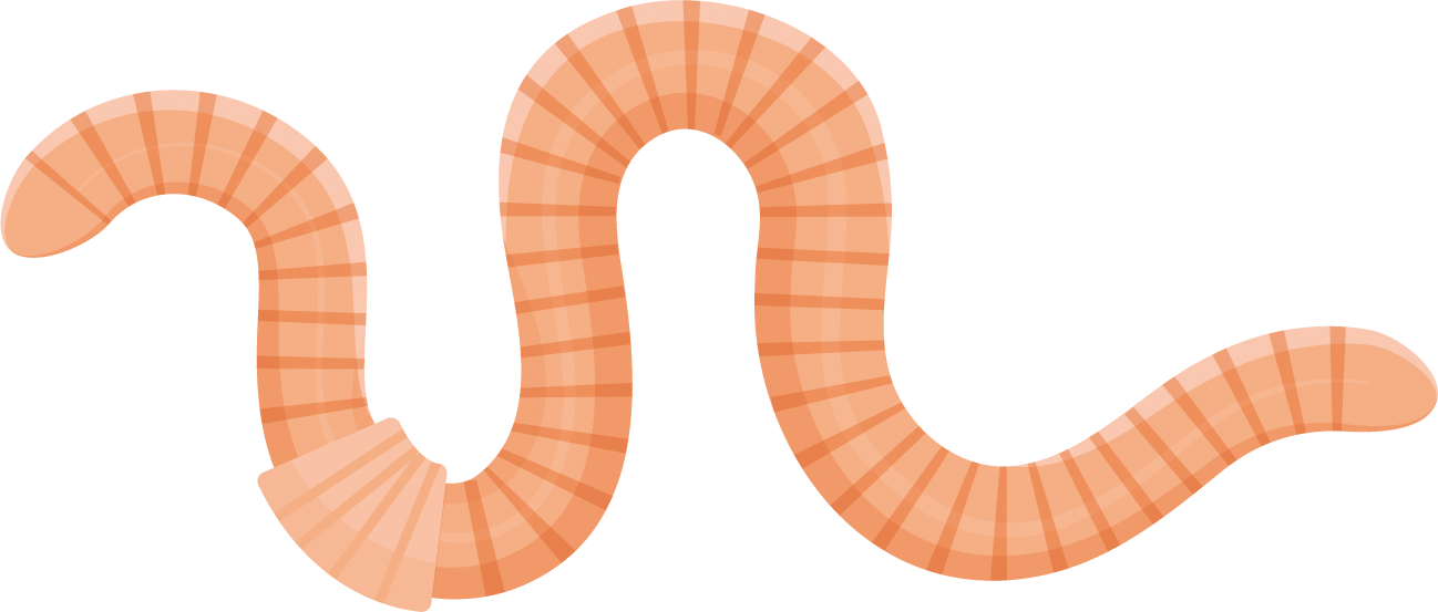 Worm Press (1298x553), Png Download