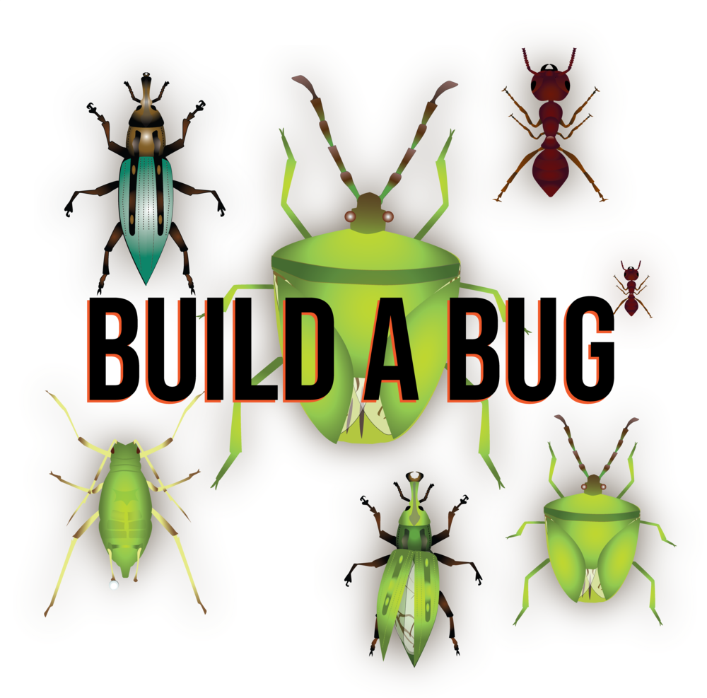 Builda Bug (1000x987), Png Download