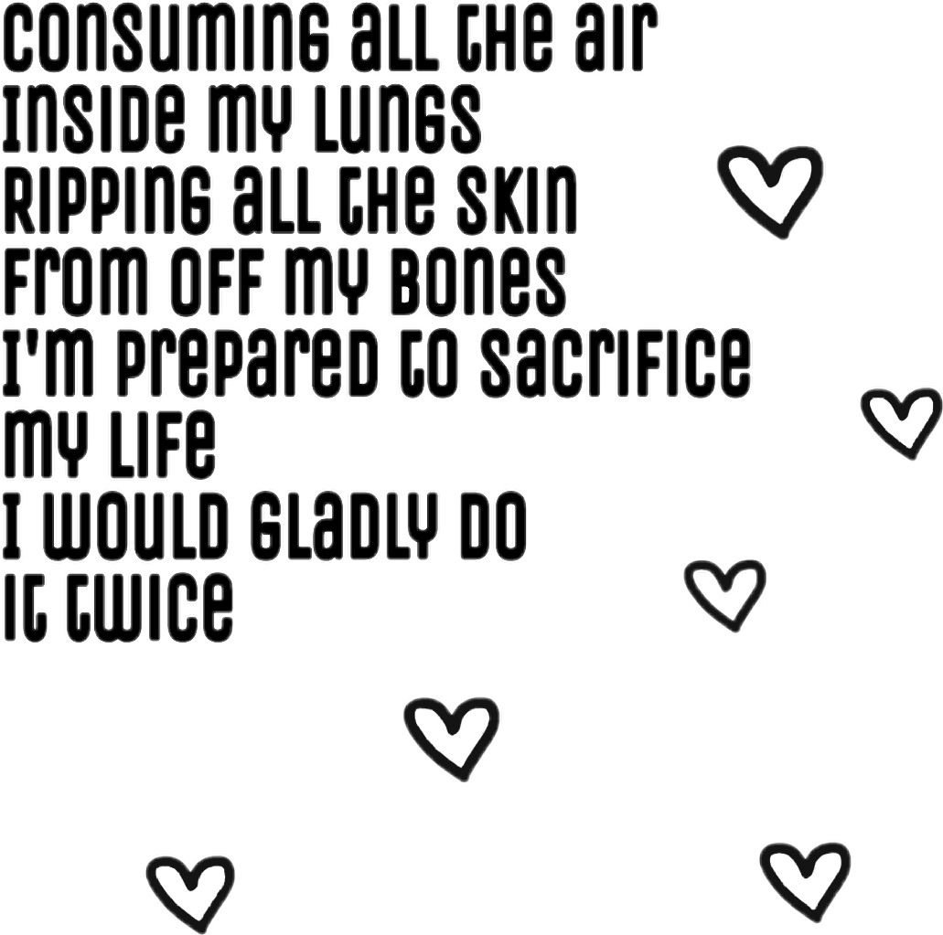 Shawnmendes Songs Words Lyrics - Heart (1031x1023), Png Download