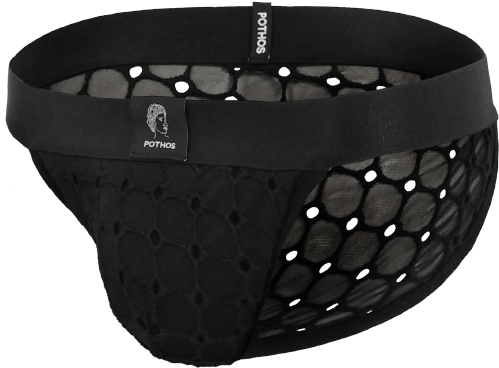 Monday Thong Pothos Underwear - Storage Basket (1024x768), Png Download