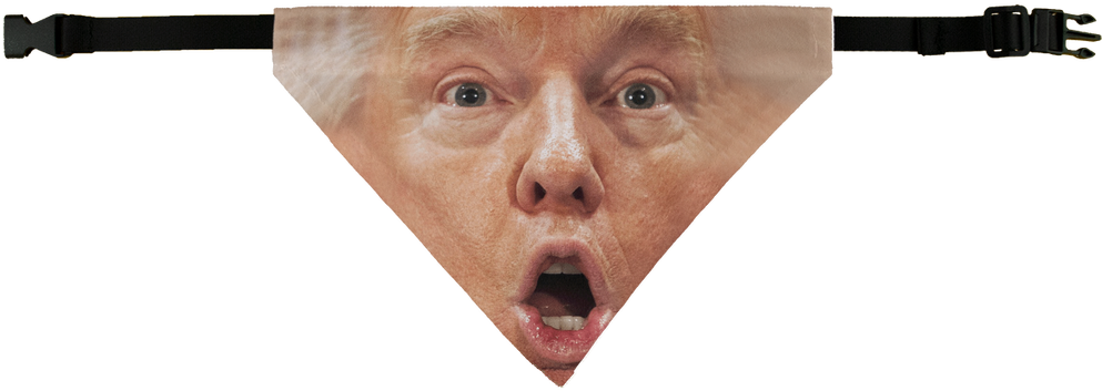 "shocked Trump Pet Bandana\ - Selfie (1024x1024), Png Download