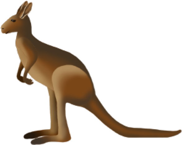 Kangaroo (640x480), Png Download