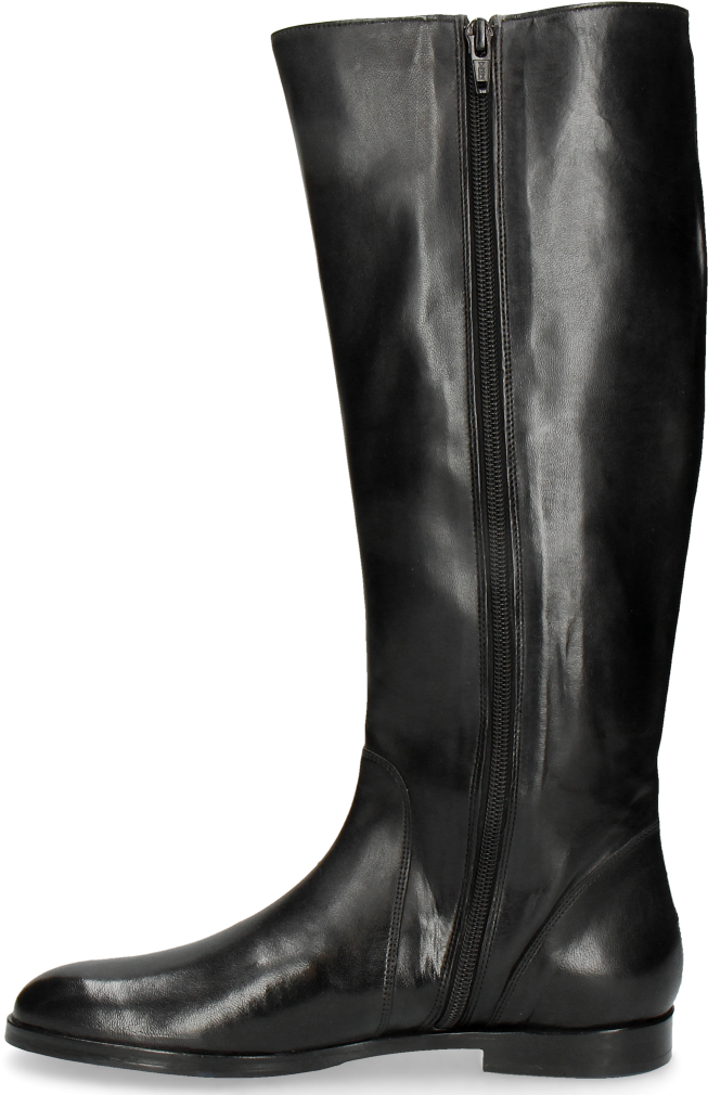Boots Susan 7 Rio Black Hrs Electric Blue - Riding Boot (1024x1024), Png Download