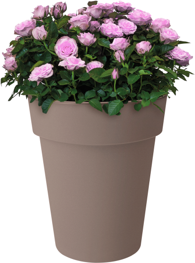 Home > Collection > Green Basics Top Planter High - Flowerpot (750x750), Png Download