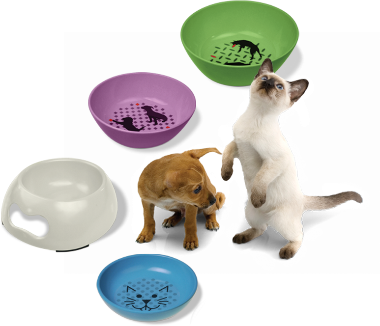 Learn More - Siamese (1000x700), Png Download