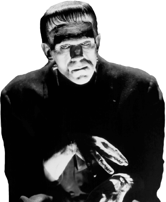 January - Frankenstein Boris Karloff Rare (539x654), Png Download