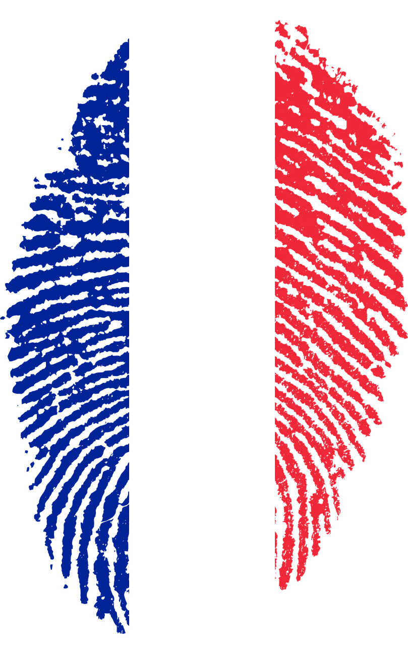 France, France Flag Fingerprint Country Pride Iden - Kuwait National Day 2019 (809x1280), Png Download