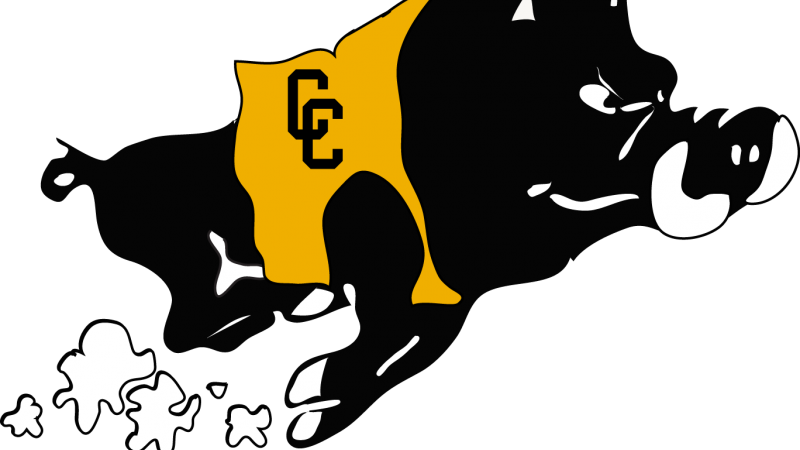 Quick Links - Colquitt County High School Mascot (800x450), Png Download