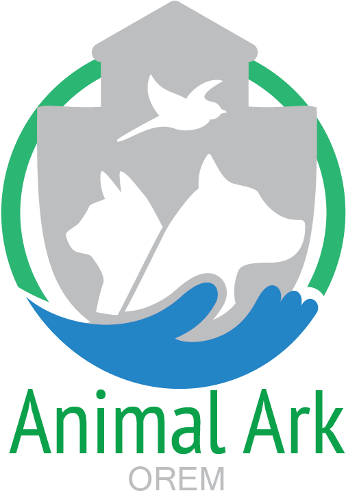 Clip Art (504x725), Png Download