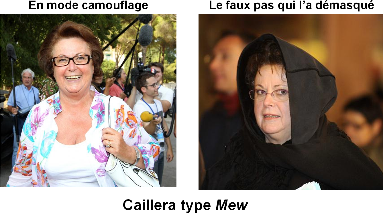 Caillera Type Mew - Girl (1338x775), Png Download