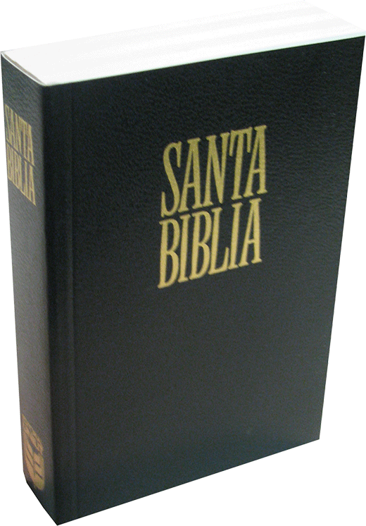 Spanish Sbt Santa Biblia Pequeña De Bolsillo - Santa Biblia (520x746), Png Download